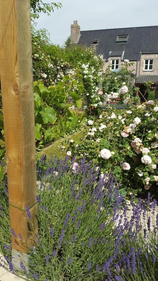 B&B La Cle Du Sud Merelbeke Exteriör bild
